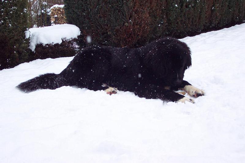 02-022-003 050.jpg